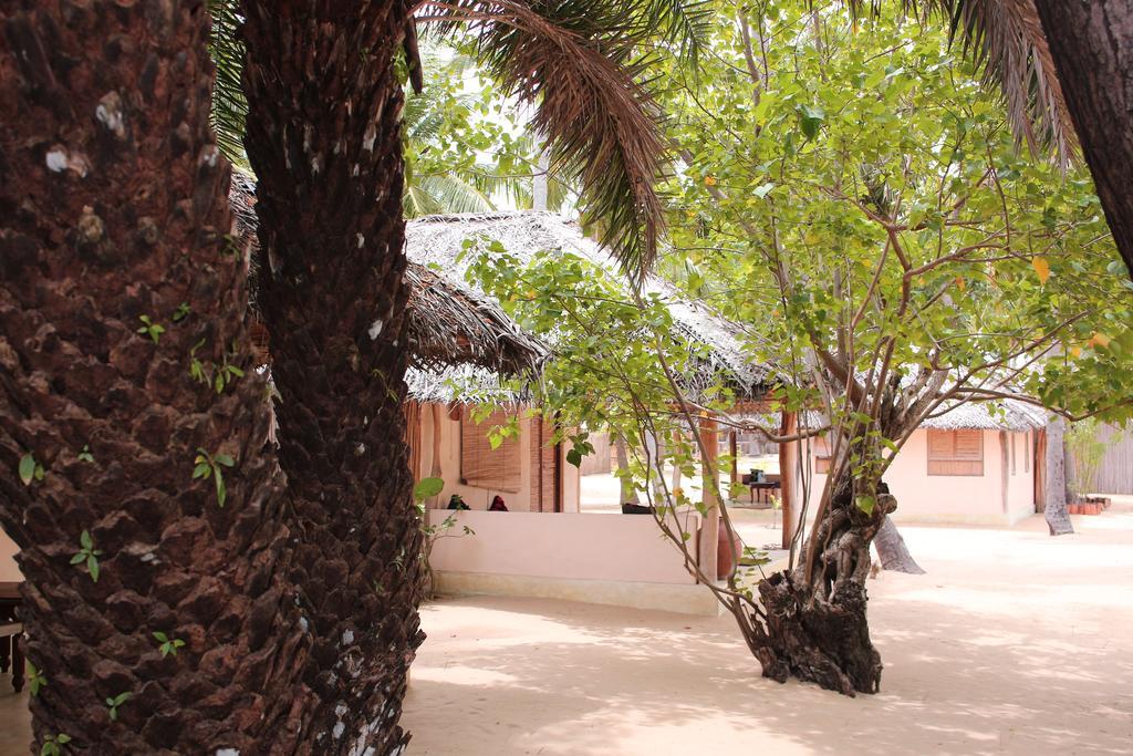 Cocodance Kitesurfing Resort Калпития Экстерьер фото